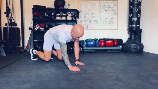 Bear crawl