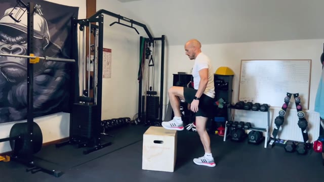 Box step-ups