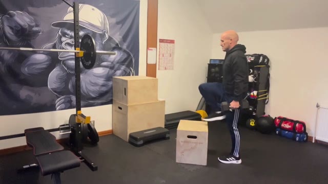 Dumbbell box step-ups