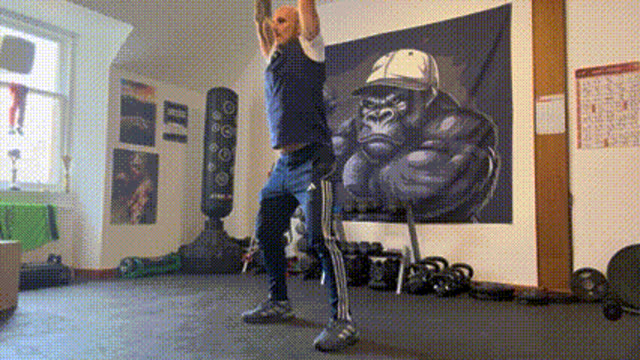 Dumbbell reach squats