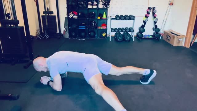 Forearm plank lateral toe taps