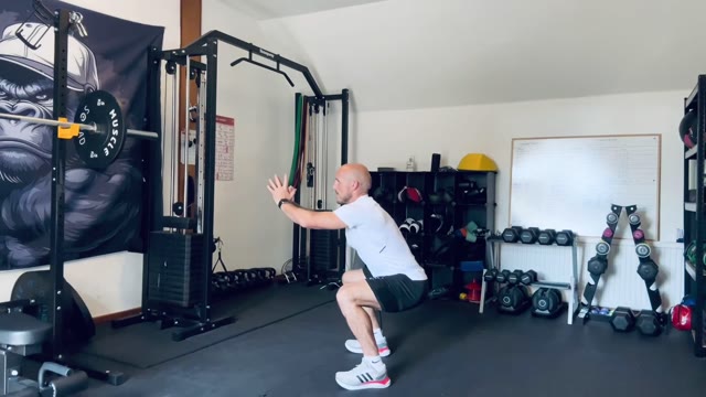 Pulse squats