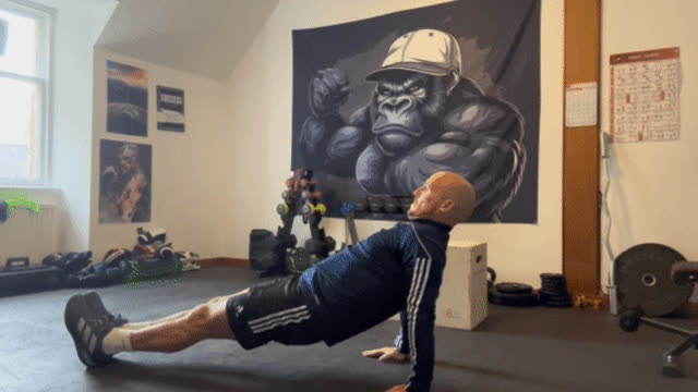 Reverse plank