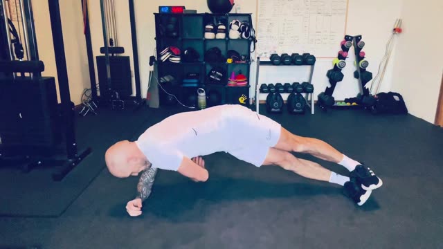 Side plank rotation